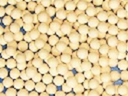 Molecular Sieves